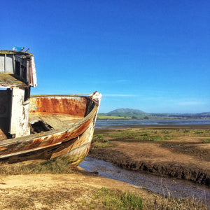 Oyster Shucking in Point Reyes